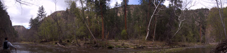 Gila River WEst fork Pano